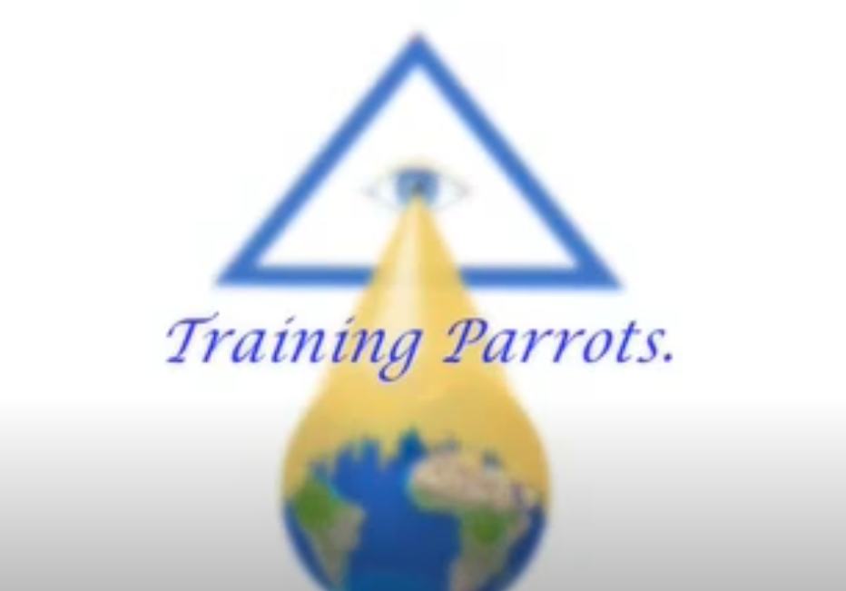 Training Parrots YouTube Video Rananda Screenshot
